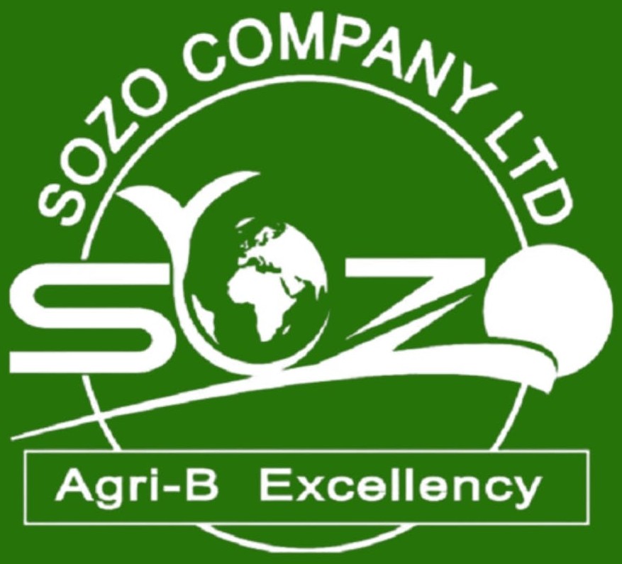 SOZO Company Ltd logo