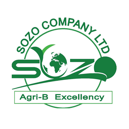 SOZO Company Ltd logo