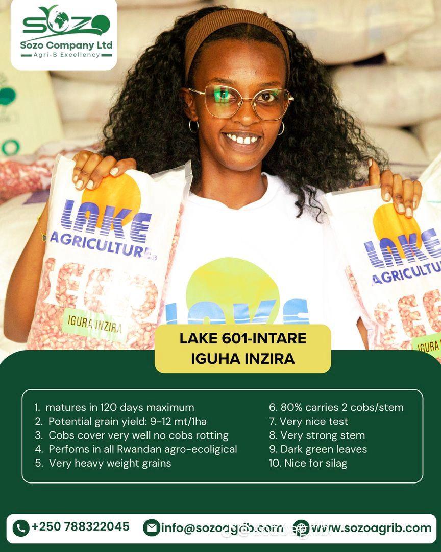 LAKE 601-INTARE — IGUHA INZIRA