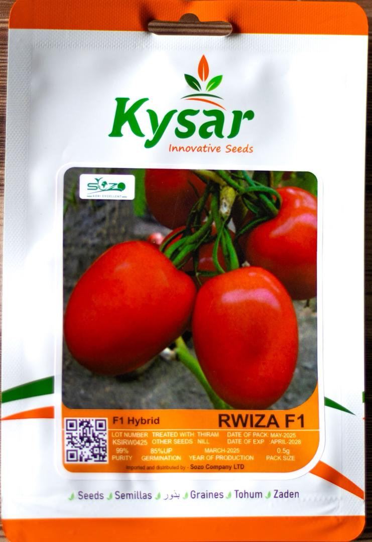 Rwiza F1 Hybrid Tomato Seed — Vegetable Seeds supplied by SOZO Rwanda, shown in close-up field detail