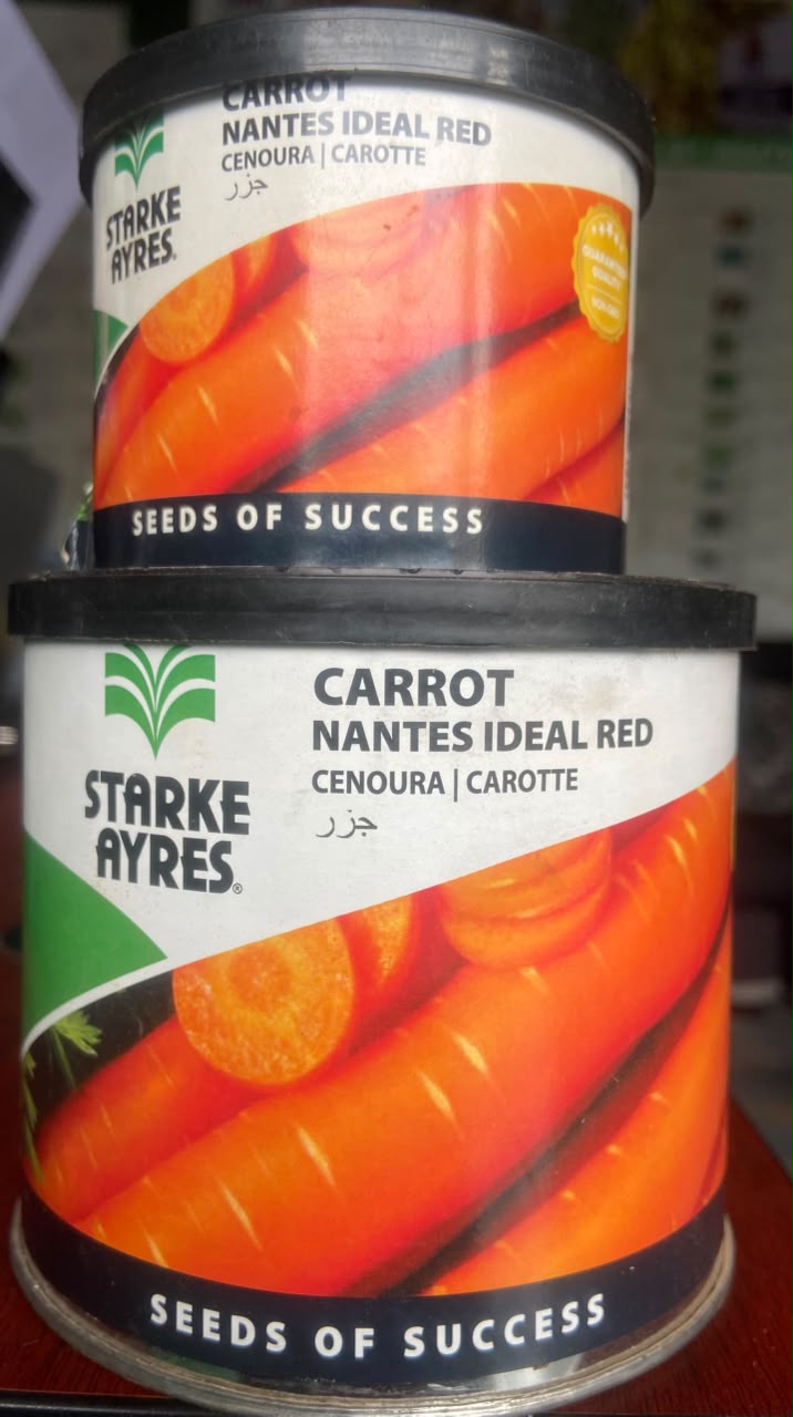 Carrot Nantes Improved — Vegetable Seeds supplied by SOZO Rwanda, shown in close-up field detail