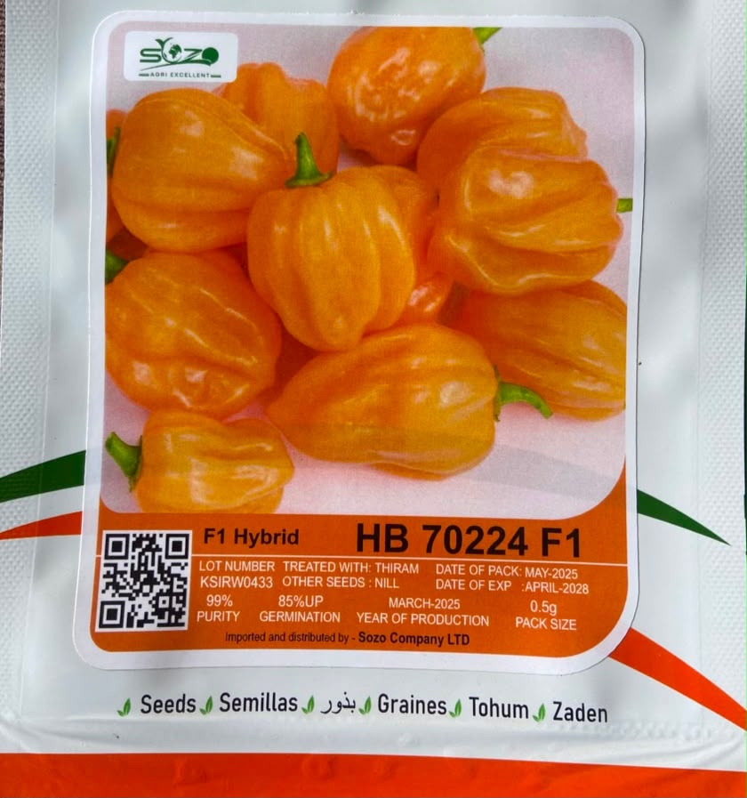 Nyiramutwe Tomato Seed (F1) — Vegetable Seeds supplied by SOZO Rwanda, shown in close-up field detail