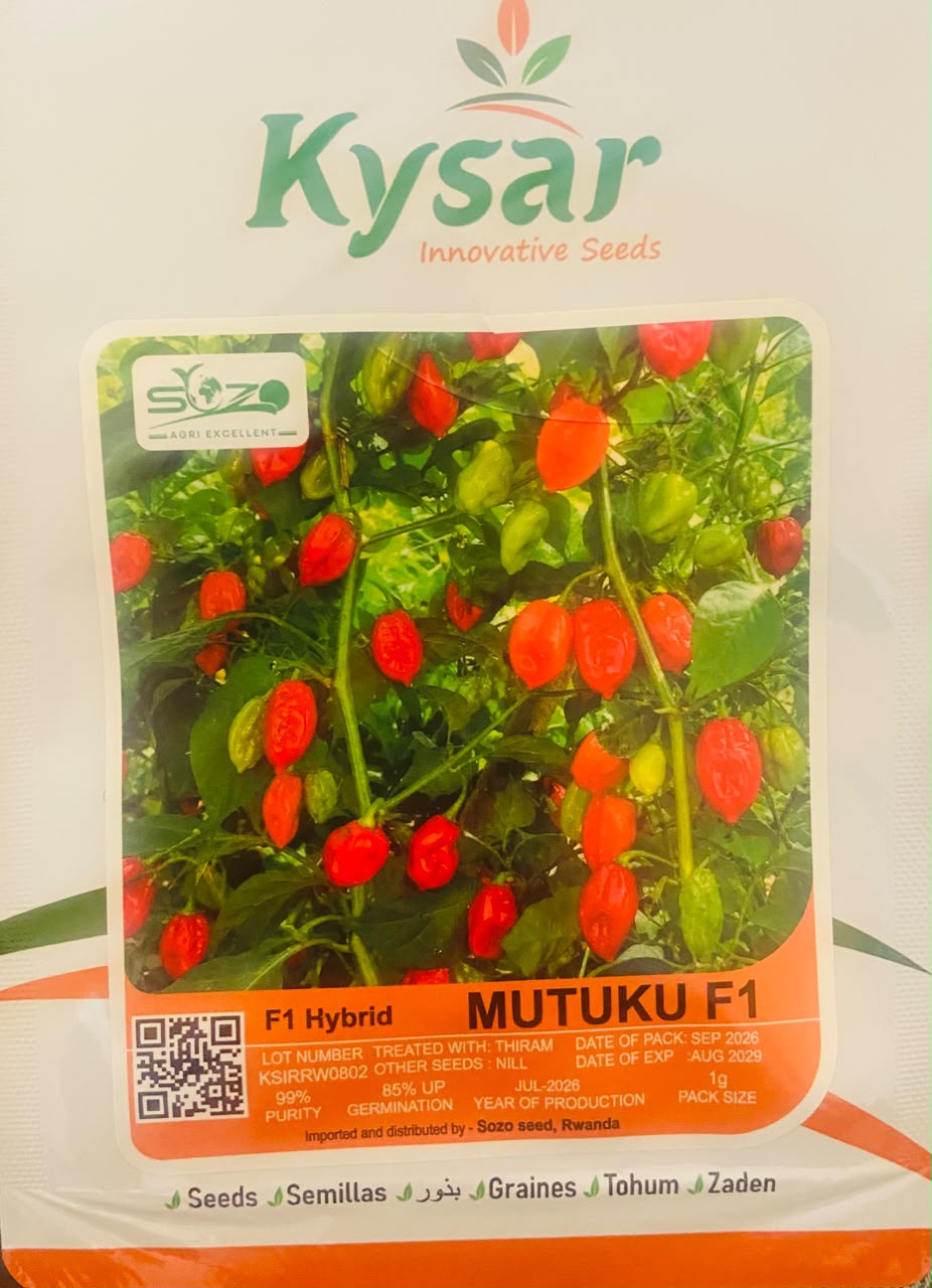 MUTUKU F1