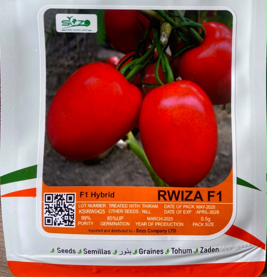 Rwiza F1 Hybrid Tomato Seed — Vegetable Seeds supplied by SOZO Rwanda, shown in close-up field detail