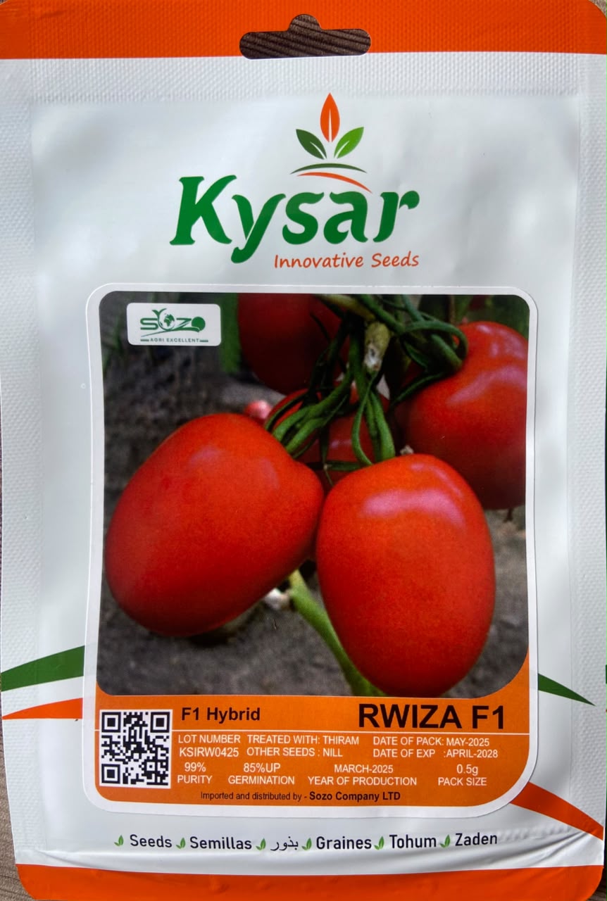 Rwiza F1 Hybrid Tomato Seed — Vegetable Seeds supplied by SOZO Rwanda, shown in close-up field detail