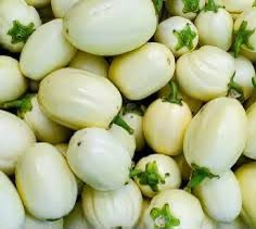 African white Eggplant photo