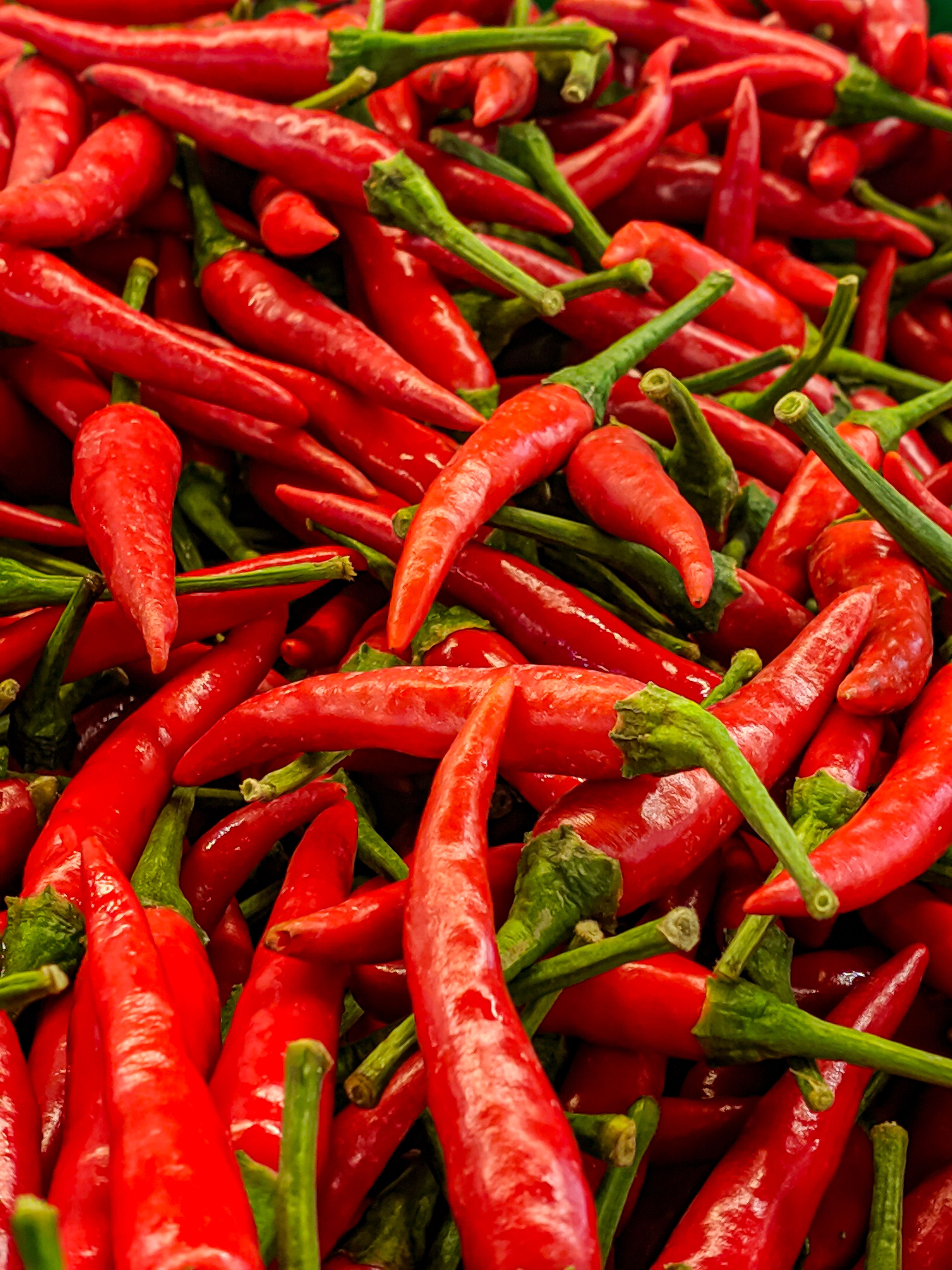 Hot Pepper Long Cayenne — Vegetable Seeds supplied by SOZO Rwanda, shown in close-up field detail