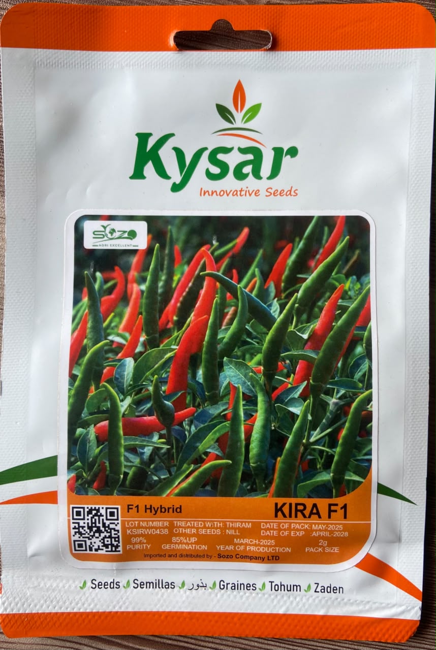 Hot Pepper Long Cayenne — Vegetable Seeds supplied by SOZO Rwanda, shown in close-up field detail