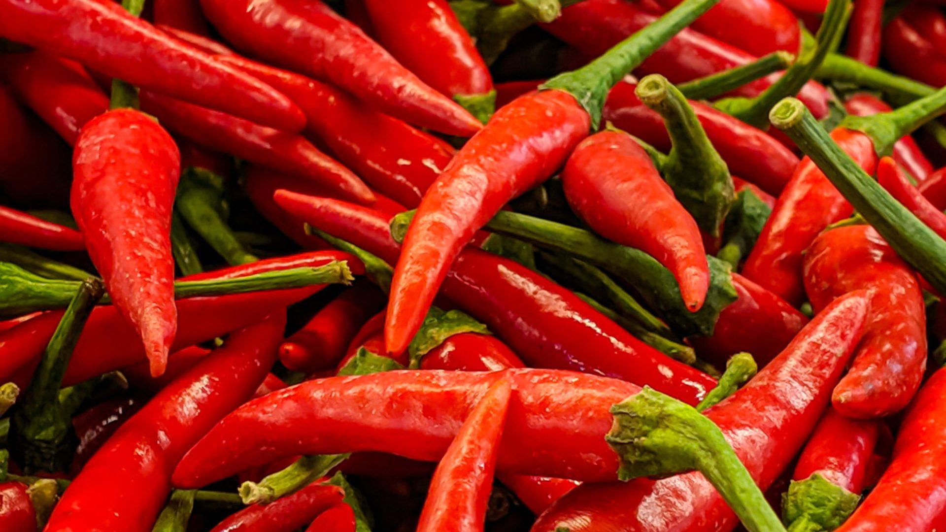 Chili for Export Markets
