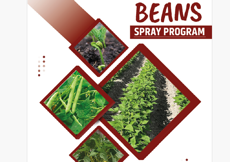 Optimizing Your Bean Crop: A Comprehensive Guide to a Successful Spray Program