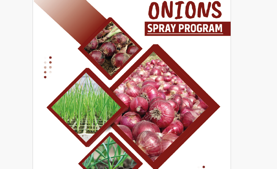 Growing Strong: A Comprehensive Guide to an Onions Spray Program